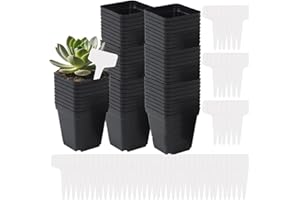 100 Pcs 2.7In Square Seedling Nursery Pots Flower Pot Plastic Plant Pots Nursery Pots for Plants Indoor Small Plant with 100 