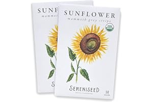 Sereniseed Certified Organic Mammoth Grey Stripe Sunflower Seeds (2-Pack) – 100% Non GMO, Open Pollinated – Guide for Indoor & Outdoor Garden Planting