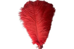Shekyeon 14-16inch 35-40cm Ostrich Feathers Plumes for Table Decoration Pack of 10(Red)