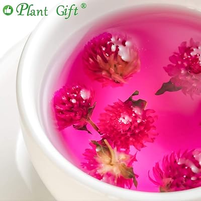 Buy Plant Gift Dried Gomphrena Globosa Flower Natural Globe Amaranth Flower Blooming Flower Tea Natural Royal Scented Tea Gomphrena Rose Tea 30g 1 05oz Online In Turkey B07n659j8b