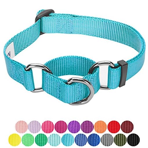 blueberry martingale collar