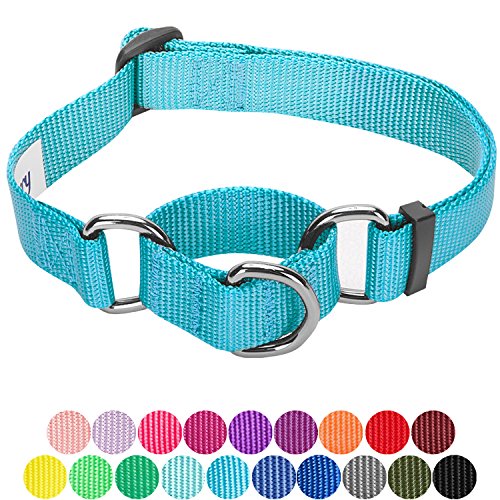 Blueberry Pet Essentials Safety Training Martingale Dog Collar