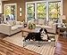 Carlson Pet Products Elevated Dog Bed, Indoor or Outdoor Dog Bed for Large Dogs, Green (8045)