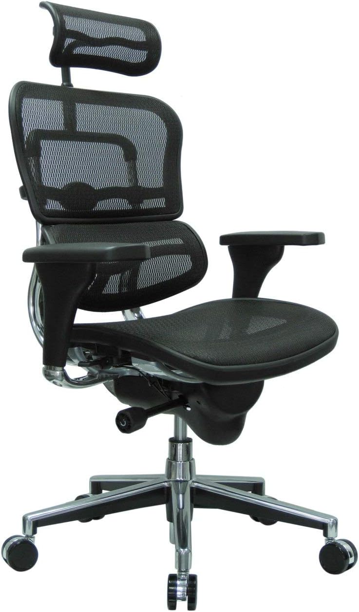 Eurotech High Back Ergohuman Ergonomic Mesh Task Chair