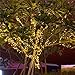 Solar String Lights 115ft 300 LED Fairy Lights, Ambiance lights for Outdoor, Patio, Lawn,Garden, Home, Wedding, Holiday, Christmas Party, Xmas Tree decoration,waterproof/Timer/USB Charge (Warm White)