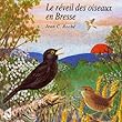 Sounds of Nature: Birds Awakening in Bresse