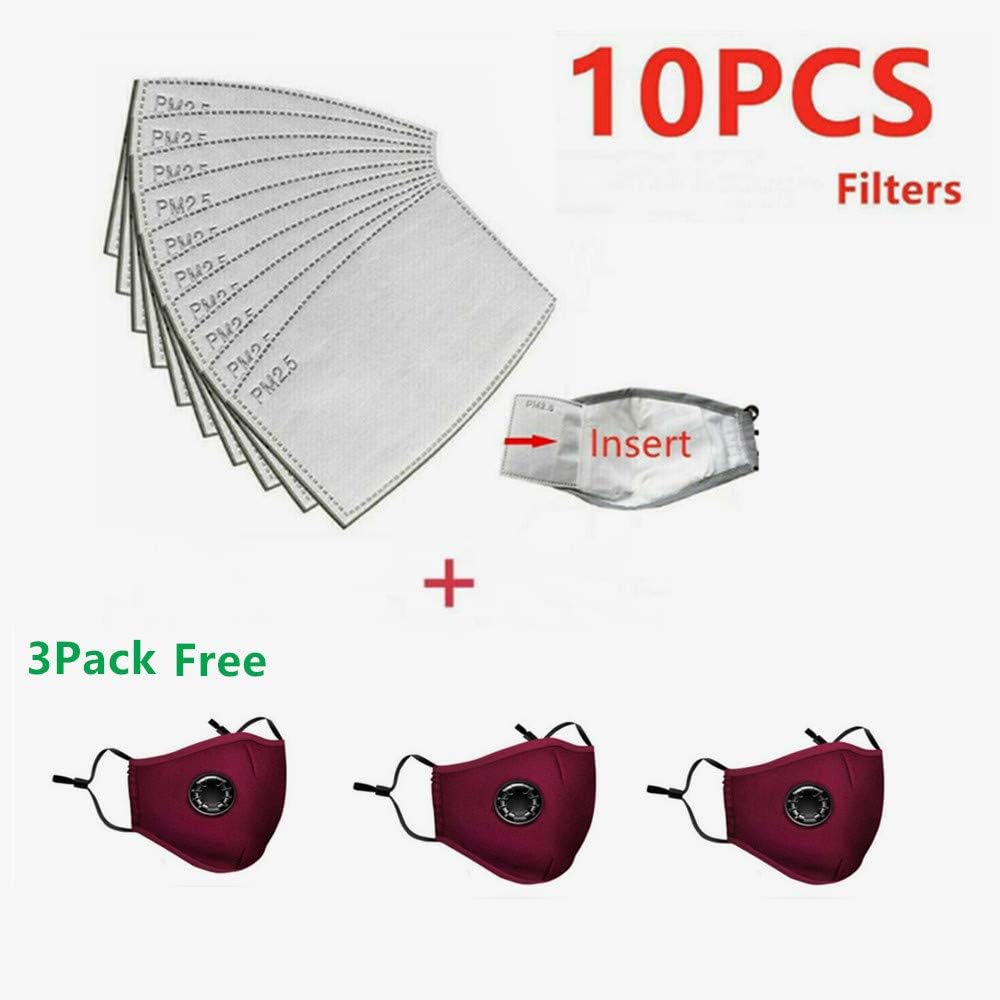 PM 2.5 Activated Carbon Filter, Anti Dust Filter Paper, Protective Filter, Replaceable Anti Haze Filter Paper for Adults (10PCS+3Wine Red)