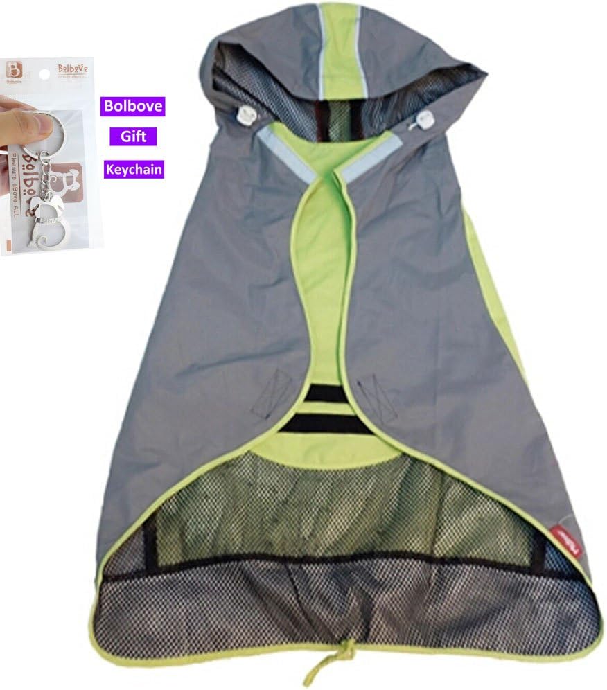 springer spaniel waterproof coat