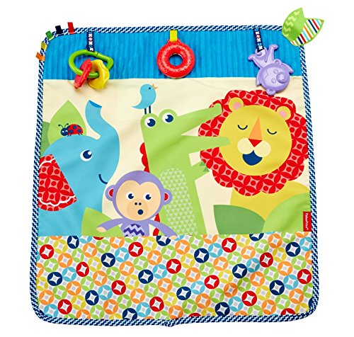 Fisher-Price On-The-Go Activity Throw