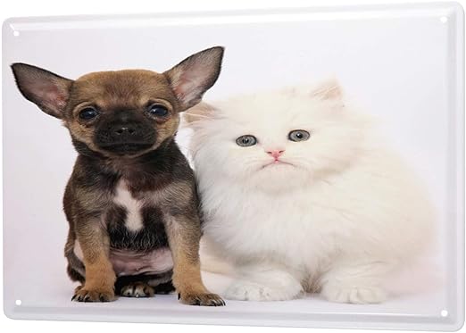 Amazon キッチンチワワ子犬猫子猫ティンサインメタルプレート装飾サイン家の装飾プラーク X 30 Cm インテリア オンライン通販