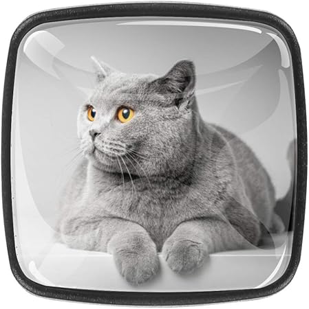 Gabinete perillas y tiradores Gato gris Tiradores de armario Tiradores