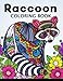 Raccoon Coloring Book: Cute Animal Stress-relief Coloring Book For Adults and Grown-ups by Balloon Publishing
