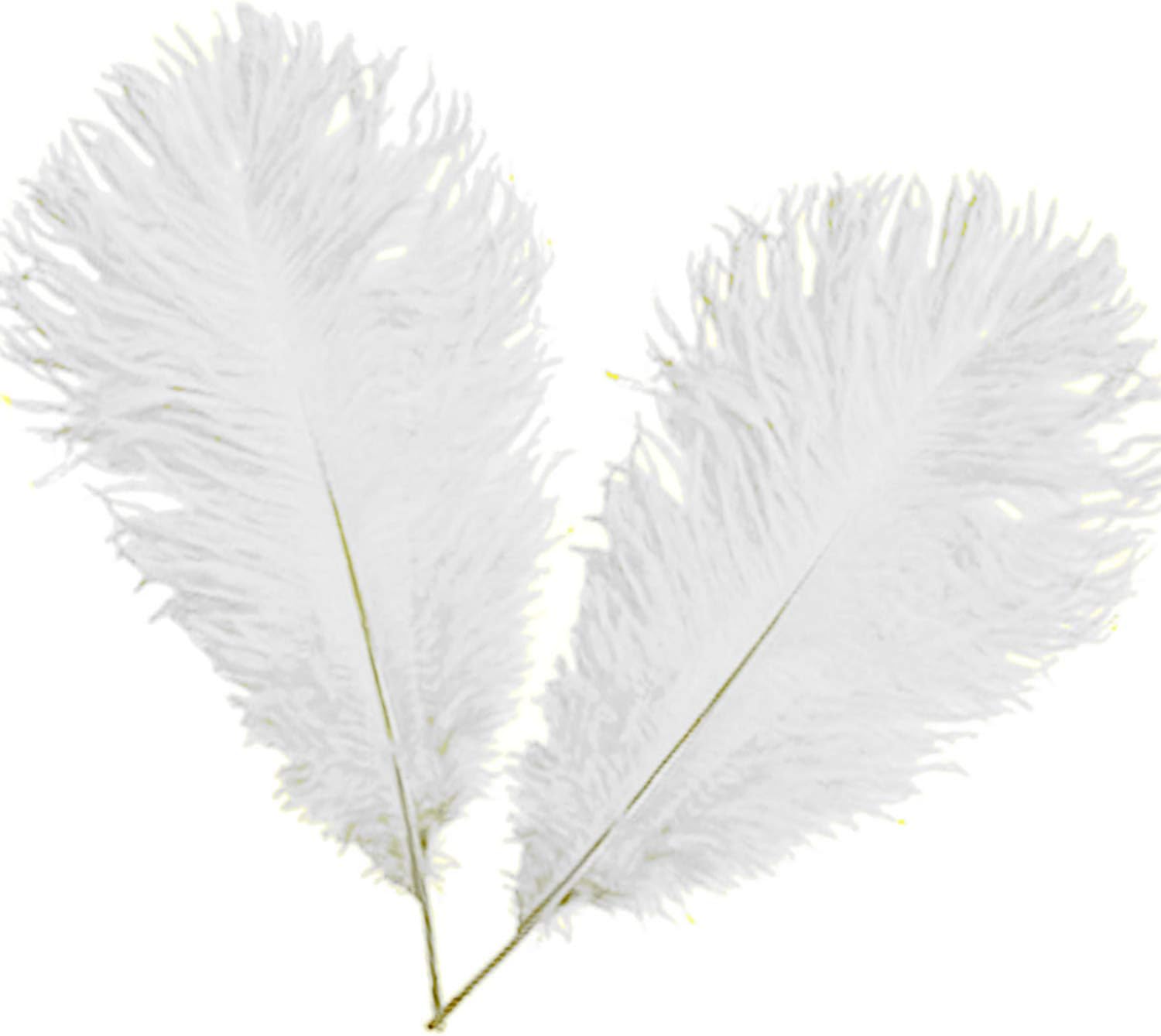 WedDecor White Natural Ostrich Feathers 14-16" (35-40cm) Long for Wedding Centerpieces Home, Decorating Costumes