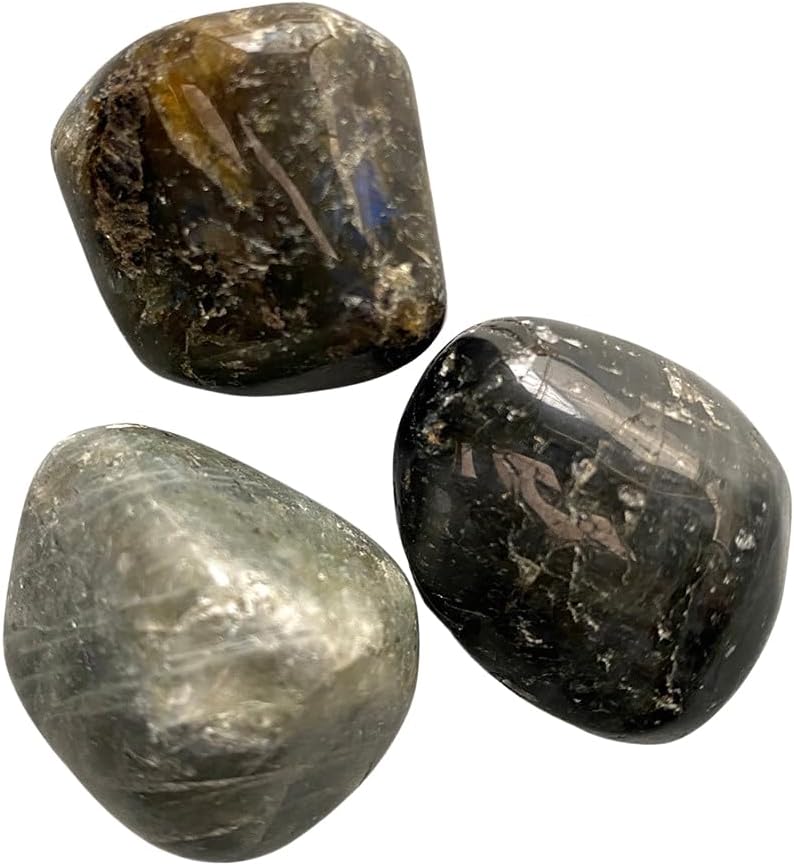 VIE Tumbled Labradorite Crystals, Pack of 6, Polished Stones 2-3 cm