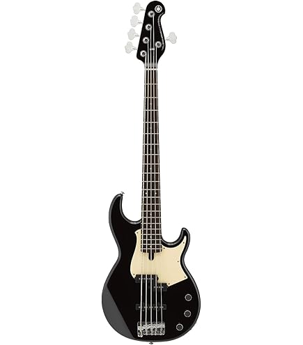 Amazon.com: Jackson X Series Signature David Ellefson 5-String
