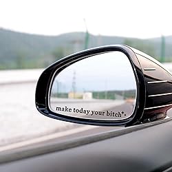 2 x Make Today Your Bi*ch, Rear View Mirror