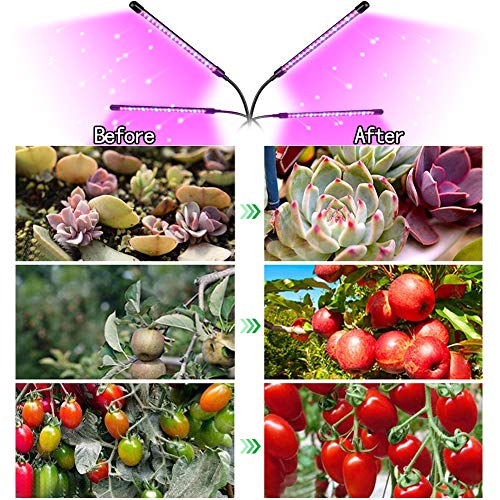 Kavai LED Grow Light,4-Head LED Grow Light with Tripod Stand for Indoor Plants,80 LED Full Spectrum Floor Grow Lamp with remote Controller,3/4/8/9/12H Timer