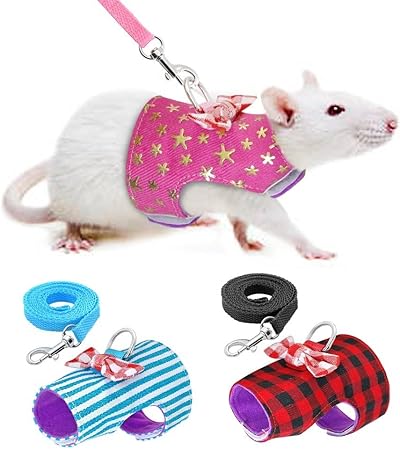 pet stock harness