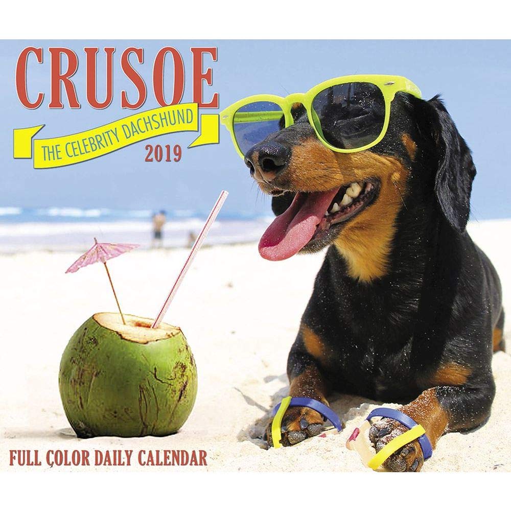 Crusoe the Celebrity Dachshund 2019 Box Calendar (Dog Breed Calendar)