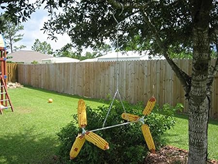 Amazon Com Spinning Squirrel Feeder Garden Outdoor