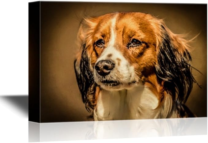 carousel kooikerhondjes