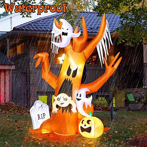 61Y9 WOJ9HL.jpg