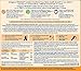 Enfagrow PREMIUM Non-GMO Toddler Transitions Formula - Powder can, 20 oz