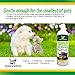 Pawsworthy Pet Shampoo, Dog Shampoo, Cat Shampoo - All Natural Pet Shampoo - Natural Ingredients, Dogs, Cats, All In One Cleaner, Conditions, Moisturizes, Deodorizes, Detangles, 16 oz