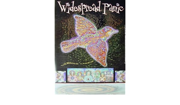 Amazon Com Widespread Panic Til The Medicine Takes Poster