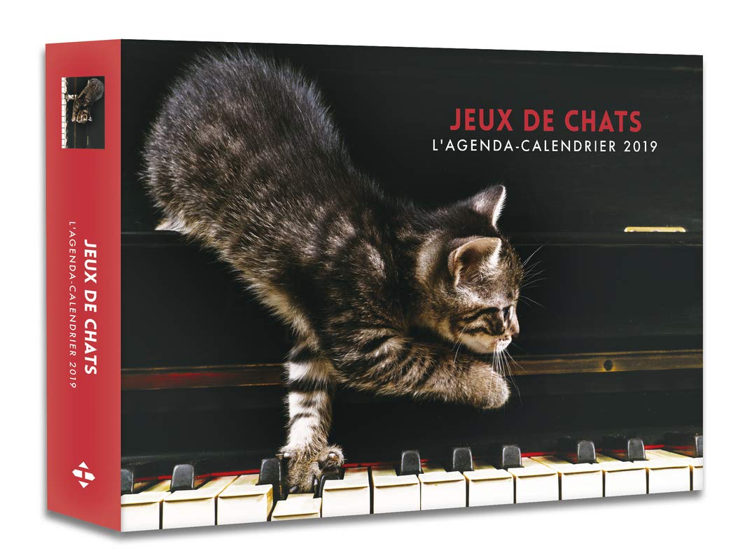 Amazon Fr L Agenda Calendrier Jeux De Chats 19 Collectif Livres