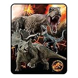 Jurassic World Silk Touch Throw 50