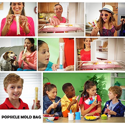 6 EXSPORT+Bags+Popsicle+Molds+Approved