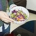 SUNFUL Easy cutter the Salad,Salad Cutter Bowl,Vegetable Cutter Bowl - Make Your Salad in 60 Seconds ,230G weight Original
