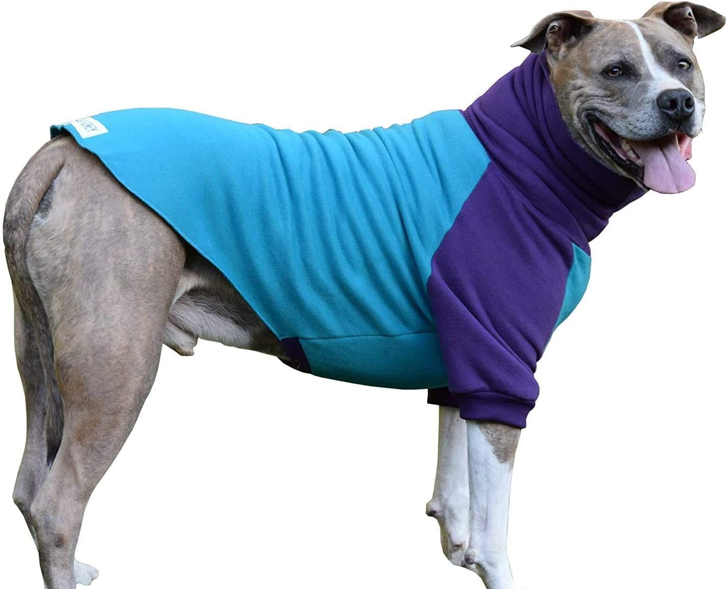 sweaters made for pitbulls