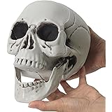 61YAFmzoPZL. AC UL160 SR160,160 Understanding Voodoo Rituals: Purpose, Process, and Spiritual Significance