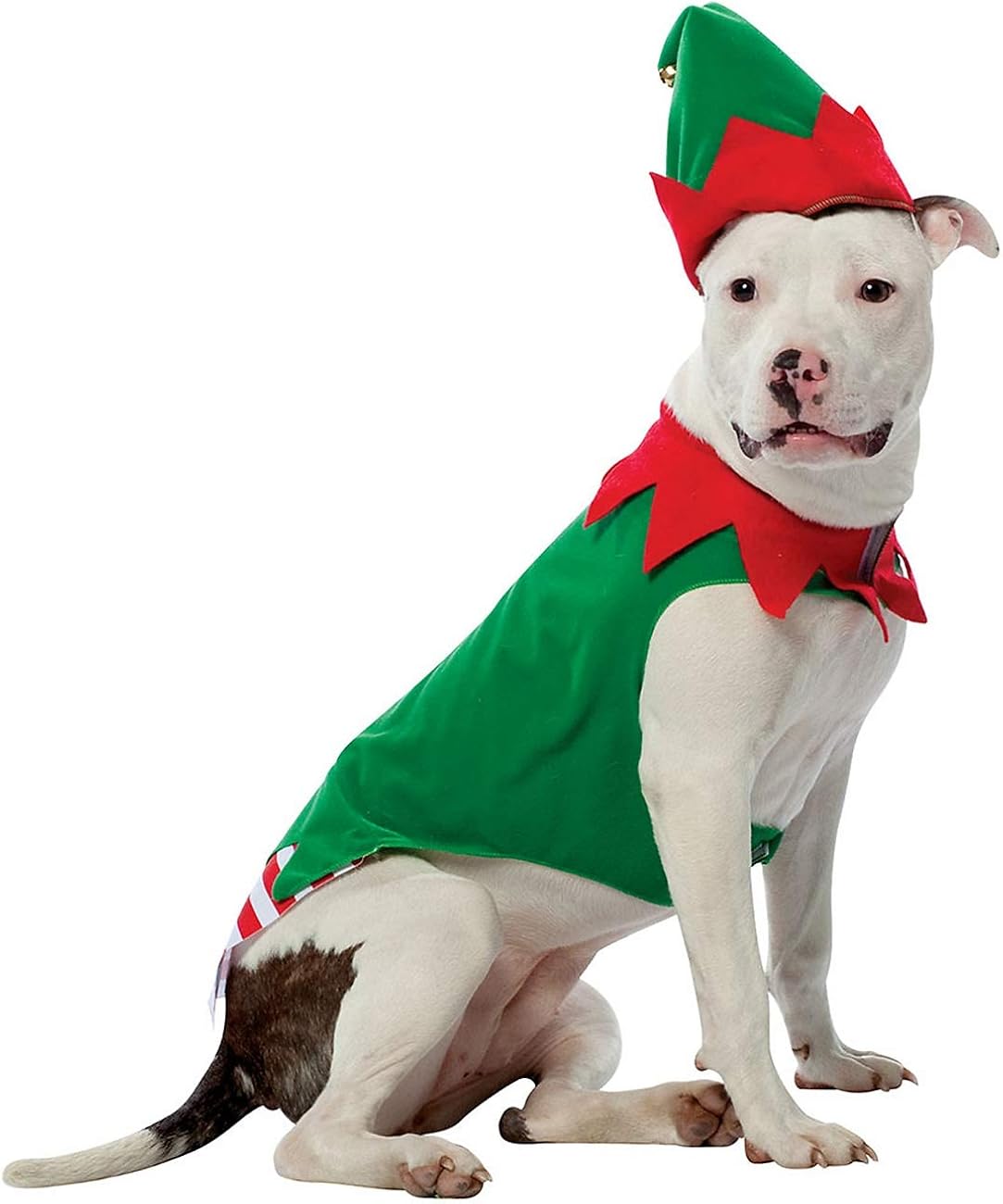 dog christmas elf costume