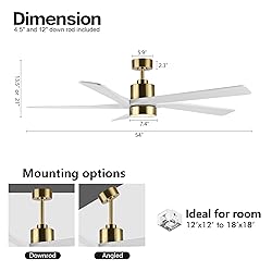 WINGBO 54 Inch DC Ceiling Fan with Lights and