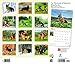 For the Love of German Shepherds 2019 14 x 12 Inch Monthly Deluxe Wall Calendar with Foil Stamped Cover, Animal Dog Breeds