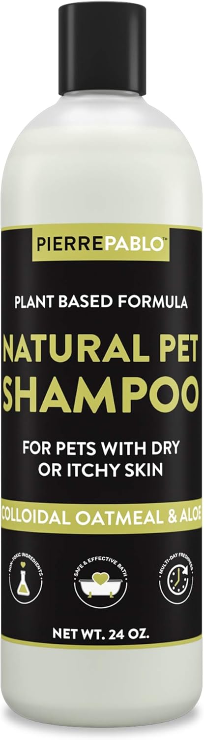 Best dry shampoo for couches