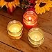 LumaBase Citronella Scented Candle Collection - Set of 3
