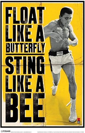 Dekoration Muhammad Ali Float Like A Butterfly Sting Like A Bee Boxing Poster 24x36 Mobel Wohnen Bellizo Nl
