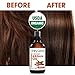 Shiny Leaf Organic Argan Oil for Hair, Face and Body â€“ 100% Pure Morrocan Oil, Natural Moisturizer, Prevents Signs of Aging, Promotes Smooth Hair, Makes Skin Soft and Glowing, Premium Quality 4oz