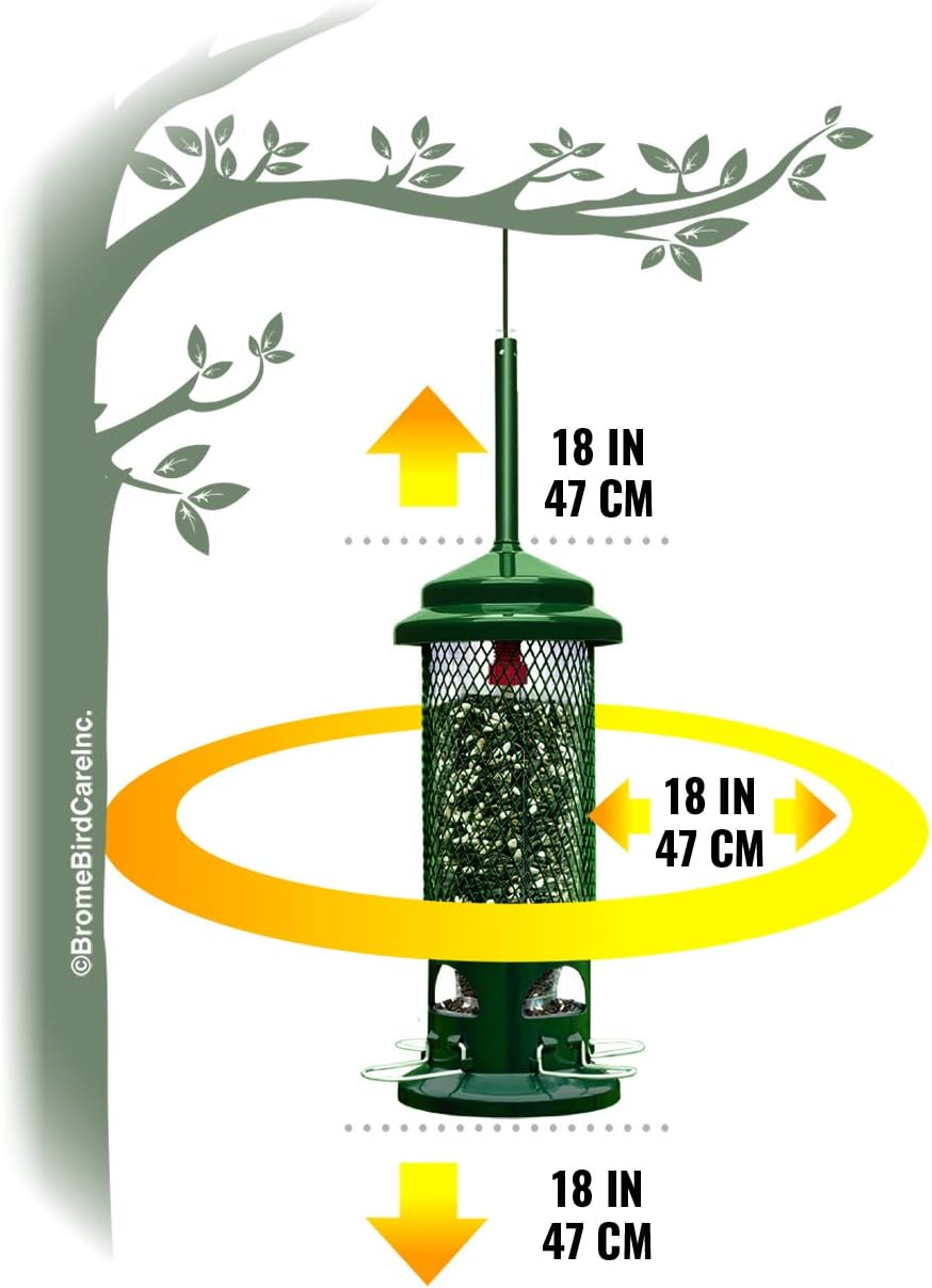Squirrel Buster Standard Squirrel-proof Bird Feeder w/4 Metal Perches, 1.3-pound Seed Capacity : Squirrel Proof Bird Feeder : Garden & Outdoor