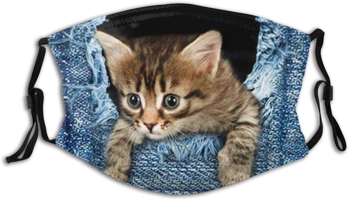 Cute Cat Patterns Printed Cloth Face Mask With Filter Pocket Washable Face Bandanas Balaclava Anti-Dust Print Reusable Fabric Mask With 2 Pcs Filters