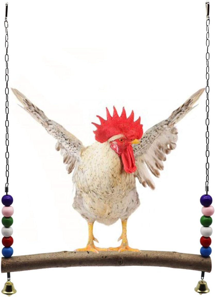 Chicken Swing Wooden Colorful Chicken Toys for Hens Bird Parrot Trainning