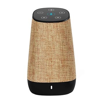 cowin dida with amazon alexa