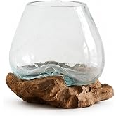The Bridge Collection Driftwood Glass Bowl with Wood Base- Styles Vary | Natural Wooden Stump and Glass Bowl Rustic Cabin Accent for Nature Inspired Home Decoration