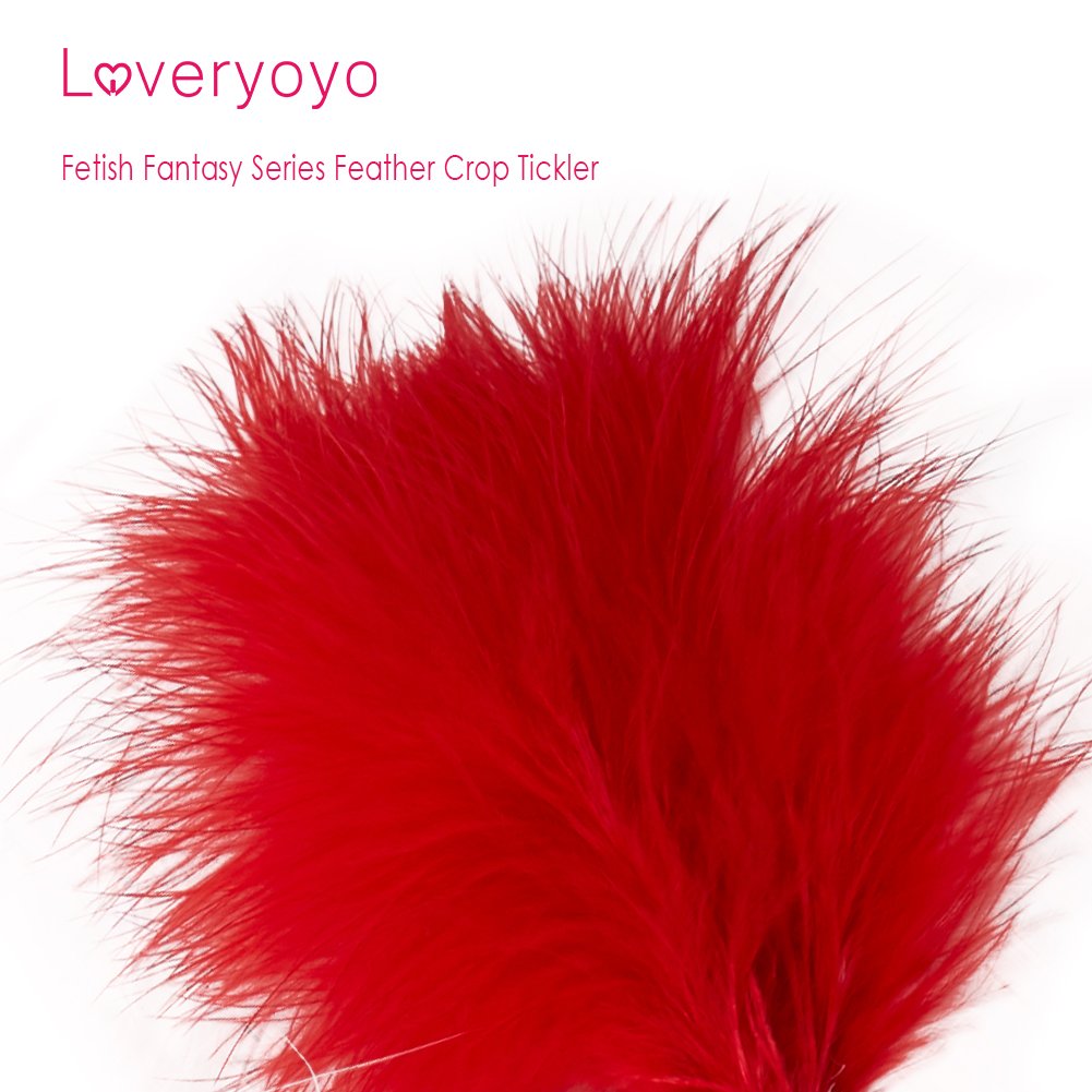 Loveryoyo 4 Plumas de Choqueteo para el Juegos Previos de Sexo Kits de Juguete Sexual Especialmente para SM Serie de Bondaje de 4 Diferentes Colores para Adultos