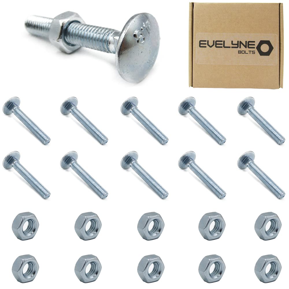 M6 (6mm x 40mm) Cup Square Carriage/Coach Bolt & Nut Set - Steel (Pack of 10)
