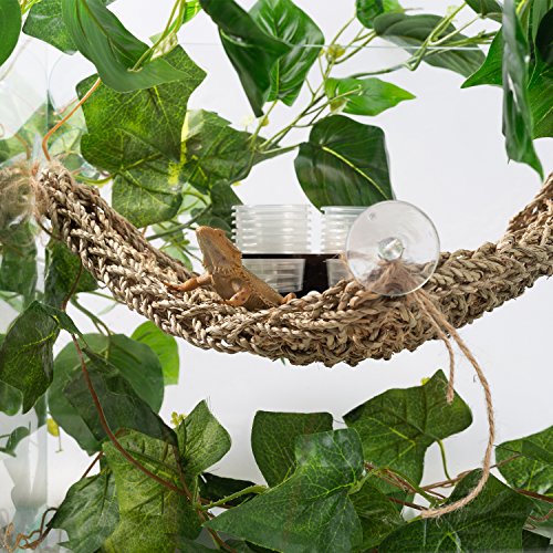 2 SLSON+Terrarium+Reptiles+Amphibians+Decorations